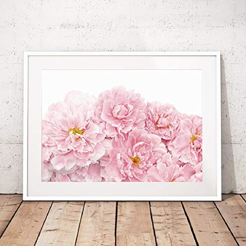 XIANGPEIFBH Erröten Rosa Pfingstrose Wandkunst Leinwand Poster Drucke Pfingstrose Blumen Gemälde Rosa und Weiß Bild Schlafzimmer Wandkunst Dekor 20x25cm (8"x10) Ungerahmt von XIANGPEIFBH