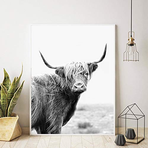 Highland Cow Print Schwarz-Weiß-Tierrinder Poster Bauernhaus Wandkunst Leinwand Malerei Vintage Dekoration Bild 60x90cm (24 "x35) Ungerahmt von XIANGPEIFBH