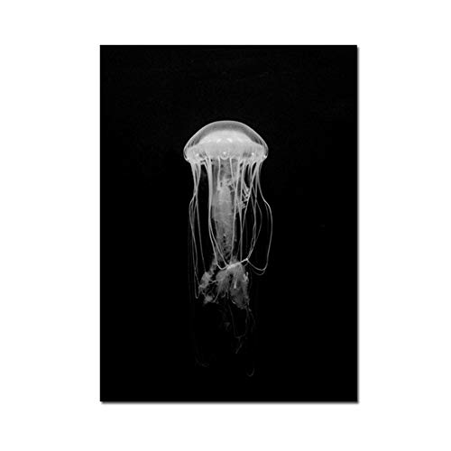 XIANGPEIFBH Quallen Tier Kunstdruck Weinflasche Leinwand Malerei Nordic Poster Schwarzweiß Wandbilder für Wohnzimmer Dekor 40x50 cm /15.7 "x 19.7" Kein Rahmen XIANGPEIFBH Quallen Tier Kunstdruck Weinflasche Leinwand Malerei Nordic Poster Schwarzweiß Wandbilder für Wohnzimmer Dekor 40x50 cm /15.7 "x 19.7" Kein Rahmen von XIANGPEIFBH