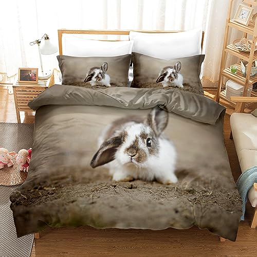 Bettwäsche 135x200 Kaninchen Bettwäsche-Sets Weiche Atmungsaktiv Mikrofaser Grau Bettbezug mit Reißverschluss 1 Deckenbezug und 2 Kissenbezüge 80x80 von XIANGXIANG
