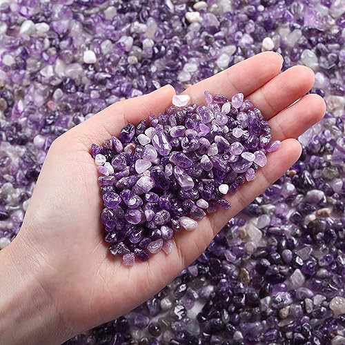 XIANNVXI Amethyst Mini Chips Set Kristalle Trommelsteine Edelsteine Heilsteine Kristall Steine Terrarium Sand Vase Füller (100G) von XIANNVXI