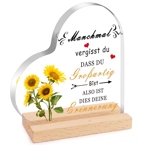 XIANNVXI Glücksbringer Mutmacher Geschenk Frau Motivationsgeschenke Positive Prüfung Inspirierende Geschenk Gute Besserung Geschenke Männer Acryl Holzschilder Heimat von XIANNVXI