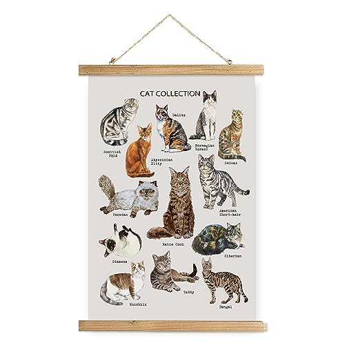 XIAOAIKA Lernposter "Cat Breeds" – illustrierter Leitfaden für beliebte Katzensorten mit Holzrahmen – dekorative Wandkunst für Katzenliebhaber und Haustierbesitzer, 30 x 40 cm von XIAOAIKA