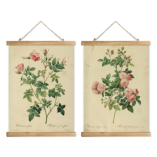 XIAOAIKA Set von 2 Botanischen Vintage-Rosen-Postern mit Holzrahmen - Dekorative Wandkunst fürs Zuhause, 40x58cm von XIAOAIKA