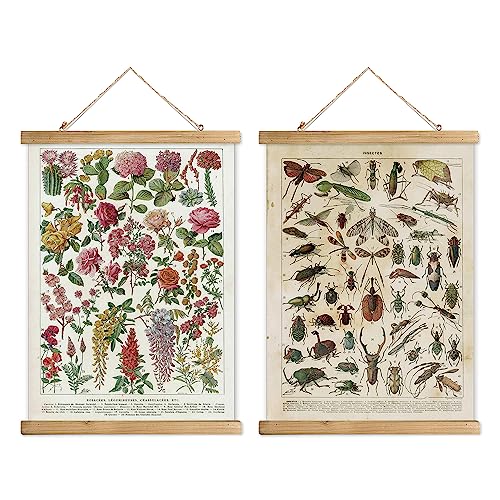 XIAOAIKA Set von 2 Vintage-Wandkunstwerken: Botanische Blumen und Insektensammlung mit Holzrahmen, Dekorative Poster fürs Zuhause, (40 x 58 cm) von XIAOAIKA