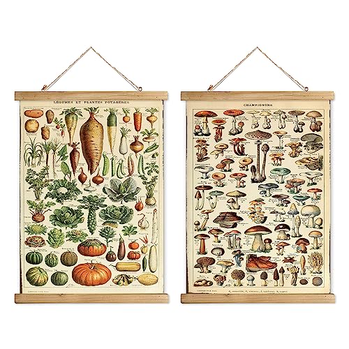 XIAOAIKA Set von 2 Vintage-Wandkunstwerken: Botanische Gemüse- und Pilzillustrationen mit Holzrahmen - Dekorative Poster fürs Zuhause (40 x 58 cm) von XIAOAIKA