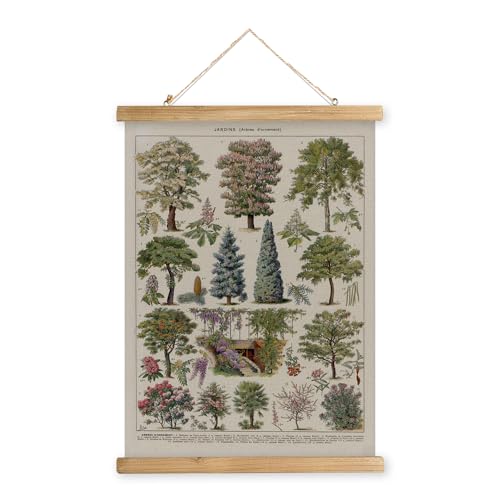 XIAOAIKA Vintage Bäume-Poster mit Holzrahmen, Retro-Stil Wanddekoration, Kunstmalerei, Muster auf Leinwand gedruckt, verblassungsfrei, fertig zum Aufhängen (40 x 58 cm) von XIAOAIKA