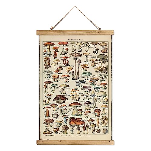 XIAOAIKA Vintage Pilz Hängende Poster mit Holzrahmen, Retro-Stil Wanddekoration Kunst Malerei, Muster gedruckt auf Leinen ohne Verblassen, fertig zum Aufhängen (30 x 40 cm) von XIAOAIKA