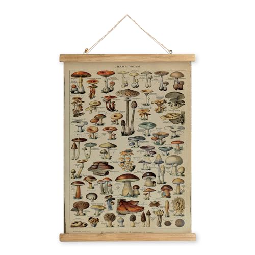 XIAOAIKA Vintage Pilz-Poster mit Holzrahmen, Retro-Stil Wanddekoration, Kunstmalerei, Muster auf Leinwand gedruckt, verblassungsfrei, fertig zum Aufhängen (40 x 58 cm) von XIAOAIKA