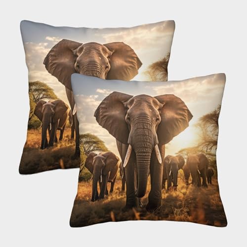 XIAOCHENG Elefant Weicher Anime-Stil Kissenbezug, QuadRatteische Form Im 2er Set, Perfekt Für Stylish Accessory Und Pet Corner, Maschinenwaschbar 45x45cm von XIAOCHENG