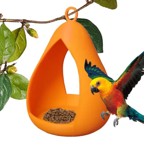 XIAOXIAOYU Fenster Vogelfutterstation, Outdoor Eichhörnchensicher Kleine Vogelfutterspender, witterungsbeständiges Futterzubehör für Finken Garten Fenster Ast Balkon Terrasse Innenhöfe XIAOXIAOYU Fenster Vogelfutterstation, Outdoor Eichhörnchensicher Kleine Vogelfutterspender, witterungsbeständiges Futterzubehör für Finken Garten Fenster Ast Balkon Terrasse Innenhöfe von XIAOXIAOYU