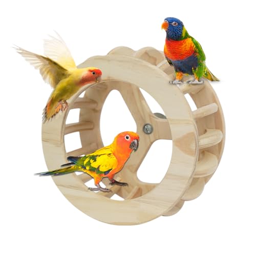 birdBarch Toy - Bildungsvogelspielzeug, rotierender hölzerner Vogelkäfig Barsch Stand| Umfassende Aktivitäts Für Haustiere Wie Kanarienvogel Lovebird Taube Conure Sittich Zuhause von XIAOXIAOYU