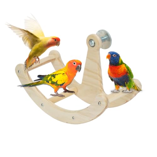 birdBarch Toy - Bildungsvogelspielzeug, rotierender hölzerner Vogelkäfig Barsch Stand| Umfassende Aktivitäts Für Haustiere Wie Kanarienvogel Lovebird Taube Conure Sittich Zuhause von XIAOXIAOYU