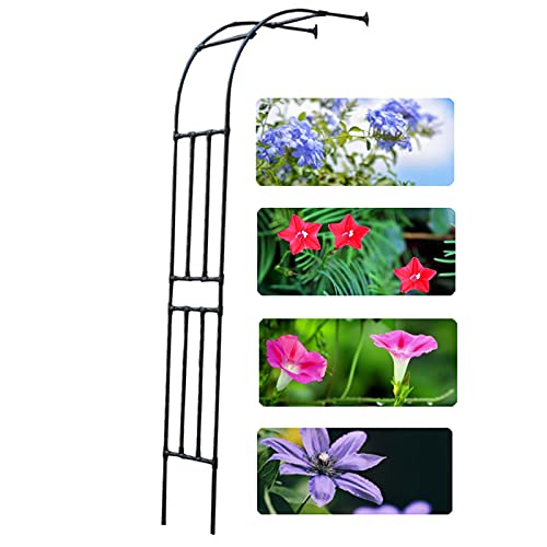 XIAOYIWIN Halbbogen Garten,Wetterfester Halbbogen Rosenbogen for Verschiedene Kletterpflanzen,Pergola Rankhilfe Rankgitter Torbogen,Gartenlauben,Spalier,Freistehend/Rost,Rasen Garten Terrasse(Black,60 von XIAOYIWIN