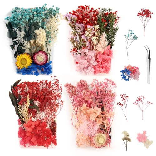 4 Boxen Getrocknete Blumen, Trockenblumen zum Basteln Trockenblumen Mini Getrocknete Blüten Deko Kleine Trockenblumen mit Pinzette für Kunsthandwerk, DIY Harz-Karten, Kerzenherstellung von XIAQICA
