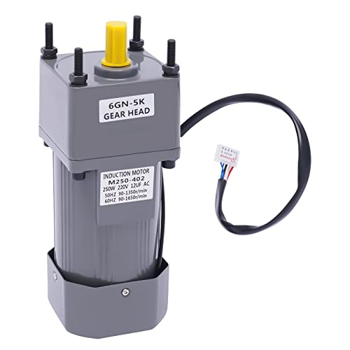 Getriebemotor AC 220 V 250 W Motor, mit einstellbarer Geschwindigkeit stufenlos einstellbarer Frequenzumrichtermotor mit Getrieberegler und Halterung (5K) von XIAYUHE