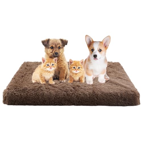 Hundebett Katzenbett, Hundekissen für Große Mittelgroße Hunde, Waschbar Hundesofa Haustierbett, Orthopädisches Hundekorb Antistress Kuschelig Hundekissen, Rutschfestes Haustierbett(100x60x10cm) von XIEMINLE