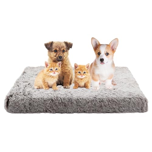 Hundebett Katzenbett, Hundekissen für Große Mittelgroße Hunde, Waschbar Hundesofa Haustierbett, Orthopädisches Hundekorb Antistress Kuschelig Hundekissen, Rutschfestes Haustierbett(75x50x7cm) von XIEMINLE