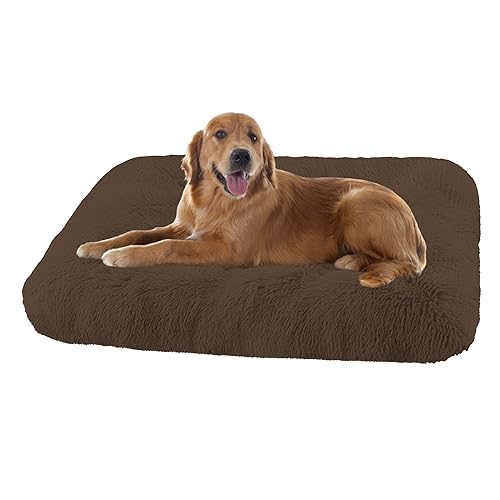 XIEMINLE Grosse Hundebett Orthopädisches Hundebett, Maschinenwaschbar Hundekissen Hundesofa, Katzenschlafplatz für Katzen und Hunde, Haustier Hundebetten Katzenbetten mit Anti-Rutsch(78x55x10cm) von XIEMINLE