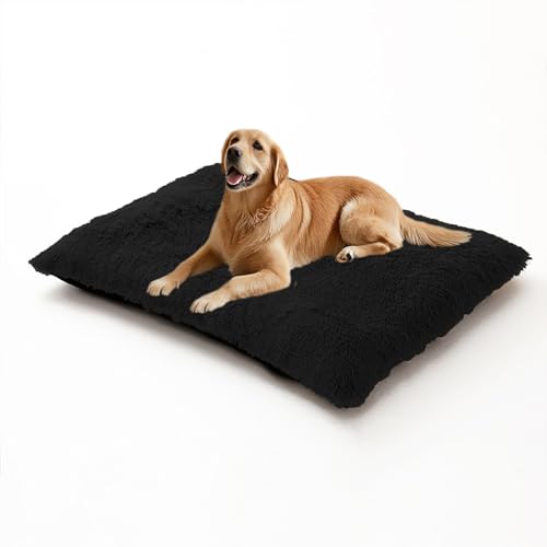 XIEMINLE Großes Hundebett, weich, beruhigendes Haustierkissen, maschinenwaschbar, Schlafmatratze für mittelgroße und große Hunde, warme Haustiermatte mit abnehmbarem Bezug (100 x 70 x 10 cm, Schwarz) XIEMINLE Großes Hundebett, weich, beruhigendes Haustierkissen, maschinenwaschbar, Schlafmatratze für mittelgroße und große Hunde, warme Haustiermatte mit abnehmbarem Bezug (100 x 70 x 10 cm, Schwarz) von XIEMINLE