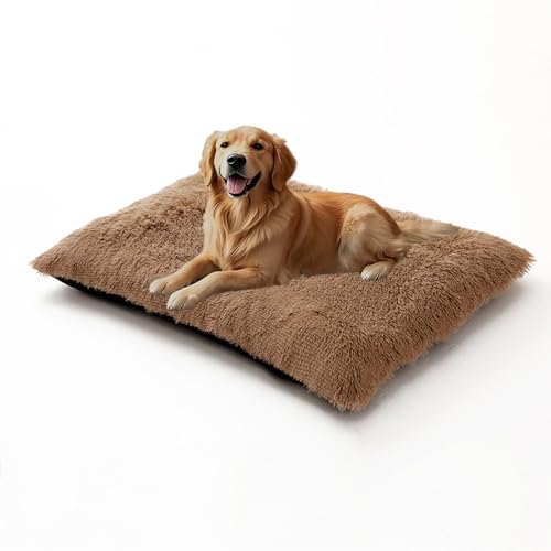 XIEMINLE Hundebett, warme Plüsch-Hundematratze für Kiste, flauschige Haustiermatte, bequeme Haustierunterlage, Käfig, Welpenbetten, Kissen, waschbare Welpendecke mit rutschfester Unterseite (78 x 55 x XIEMINLE Hundebett, warme Plüsch-Hundematratze für Kiste, flauschige Haustiermatte, bequeme Haustierunterlage, Käfig, Welpenbetten, Kissen, waschbare Welpendecke mit rutschfester Unterseite (78 x 55 x von XIEMINLE