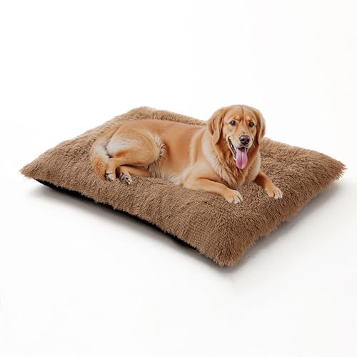 XIEMINLE Hundebett, waschbar, flauschig, Anti-Angst, Haustiermatratze, warmes Haustierbett, Kissen, bequeme Katzenbox-Unterlage, Plüsch-Welpen-Kissendecke mit rutschfester Unterseite (122 x 85 x 12 cm XIEMINLE Hundebett, waschbar, flauschig, Anti-Angst, Haustiermatratze, warmes Haustierbett, Kissen, bequeme Katzenbox-Unterlage, Plüsch-Welpen-Kissendecke mit rutschfester Unterseite (122 x 85 x 12 cm von XIEMINLE