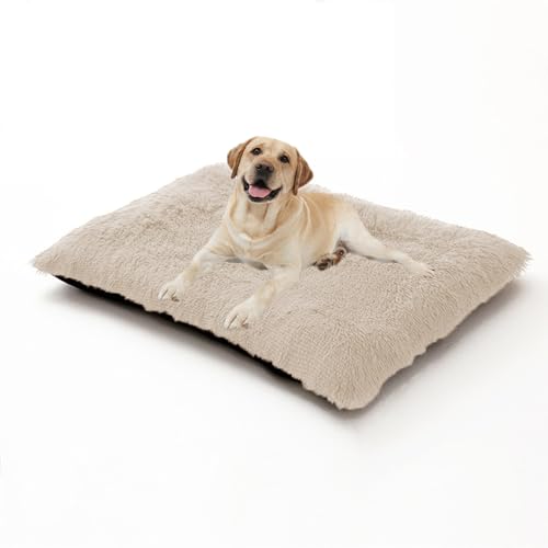 XIEMINLE Hundebett, weich, waschbar, Anti-Angst-Matte, warmes Welpen-Kissen mit rutschfester Unterseite, für mittelgroße und große Hunde (78 x 55 x 10 cm, gebrochenes Weiß) von XIEMINLE