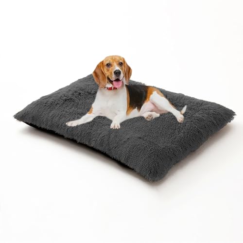 XIEMINLE Hundekäfigbett, warm, weich, flauschig, Anti-Angst, Hundekissen, waschbar, Haustiermatte mit abnehmbarem Bezug, Plüsch-Welpenunterlage mit rutschfester Unterseite (100 x 70 x 10 cm XIEMINLE Hundekäfigbett, warm, weich, flauschig, Anti-Angst, Hundekissen, waschbar, Haustiermatte mit abnehmbarem Bezug, Plüsch-Welpenunterlage mit rutschfester Unterseite (100 x 70 x 10 cm von XIEMINLE