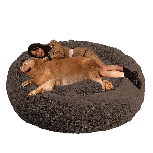 XIEMINLE Hundekissen Hundesofa Haustierbett, Orthopädisches Hundebett Katzenbett, Katzenschlafplatz für Katzen und Hunde, Rundes Hundebett für Mittelgroße und Große Hunde und Andere Haustiere(Ø130cm) von XIEMINLE