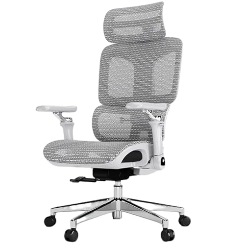 XIGOUZIQU Bürostuhl Ergonomisch,Atmungsaktiver Mesh-Stuhl, ComputerstuhEinstellbarer LendenstützeStretch Mesh Rückenlehne mit Rollen & Armlehne mit Hoher Rückenlehne(Gray1) von XIGOUZIQU