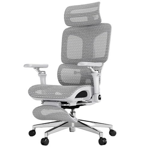 XIGOUZIQU Bürostuhl Ergonomisch,Atmungsaktiver Mesh-Stuhl, ComputerstuhEinstellbarer LendenstützeStretch Mesh Rückenlehne mit Rollen & Armlehne mit Hoher Rückenlehne(Gray2) von XIGOUZIQU