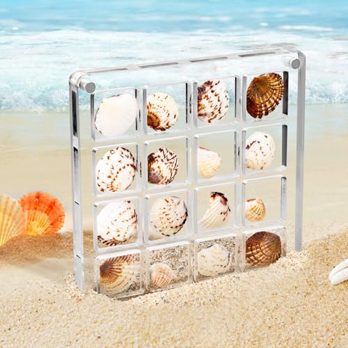 XIHIRCD Magnetische Muschel-Präsentationsbox aus Acryl, Durchsichtig Muschel-Vitrinen Perlenbehälter kleine Bastel-Ordnungsbox für Perlen Schmuck Kunstsammlungsgeschenk (Quadratisch, 16 Fächer) von XIHIRCD