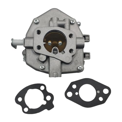 XILENY Autoteil 846109 VERGASER 16 PS, 17 PS, 18 PS – Briggs & SRATTON-Motor 350447 356447 Modell Autoteil von XILENY