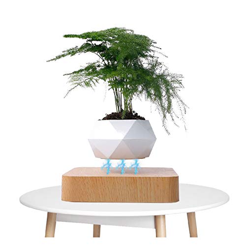 XIMIN Mini Schwebender Blumentopf, japanischer Stil magnetischer rotierender Bonsai Topf für Blumen oder Bonsai, für Zuhause Büro Dekoration (B) von XIMIN