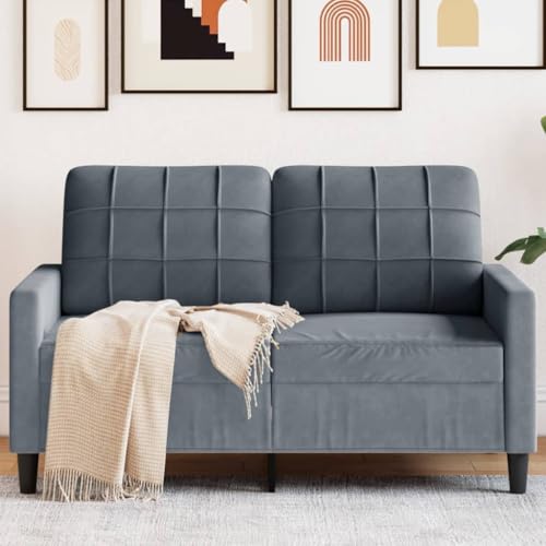 XINCXIN 2-Sitzer-Sofa, Gästesofa, Platzsparende schlafcouch, Günstig gästesofa Sofas, Wohnzimmer Sofa bodensofa, Geeignet für 0ffice Living Rooms Apartments Study Dunkelgrau 120 cm Samt von XINCXIN