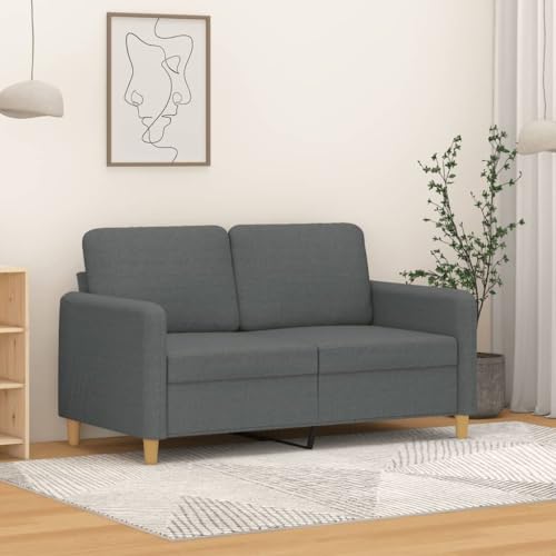 XINCXIN 2-Sitzer-Sofa, Günstig gästesofa Sofas, Gästesofa, Wohnzimmer Sofa bodensofa, Platzsparende schlafcouch, Geeignet für Study Living Rooms Attics Bedrooms Dunkelgrau 120 cm Stoff von XINCXIN