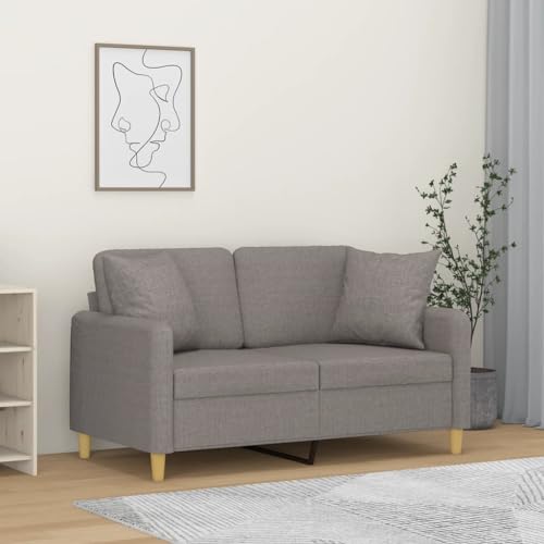XINCXIN 2-Sitzer-Sofa, Platzsparende schlafcouch, Günstig gästesofa Sofas, Wohnzimmer Sofa bodensofa, Gästesofa, Geeignet für 0ffice Living Rooms Apartments mit Zierkissen Taupe 120 cm Stoff von XINCXIN