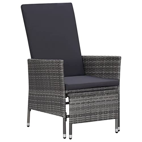 XINCXIN 2-TLG. Garten-Lounge-Set, Gartenmöbel Set Garten Möbel Terassenmöbel Außen Outdoor Furniture Geeignet für Deck Balkon Teich Hinterhof mit Kissen Poly Rattan Grau von XINCXIN