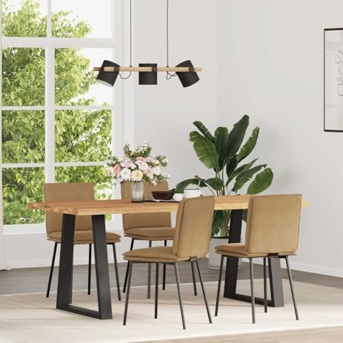 XINCXIN Esszimmerstühle 4 STK., Esszimmerstuhl Dining Chair Esszimmerstühle Esstisch Stühle Geeignet für Esszimmer Küche Restaurant Balkon Braun Samt von XINCXIN