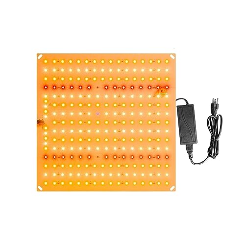 LED-Wachstumslichter, 3000W Led Wachsen Licht Phyto Lampe for Pflanzen Glühbirne Volle Spektrum Bord Hydrokultur Wachsen System Gewächshaus Blumen Samen(C-2000W Two Modes) von XINFULI