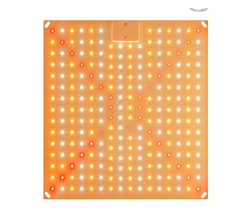 LED-Wachstumslichter, 3000W Voll-LED-Wachstumslicht Phytolampe for Pflanzenwachstumslicht Hydrokulturbeleuchtung Innenblumensamen 2000W Board(2000w) von XINFULI