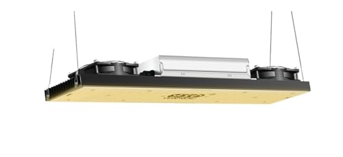 LED-Wachstumslichter, Driver 200W Board LM301H Voll-dimmbare LED-Wachstumslichter/-lampen for das Wachstum von Gemüse- und Blüten-Hydrokulturpflanzen(3000k) von XINFULI