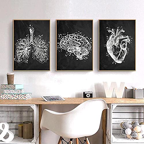 XINGCI Leinwand Malerei Wandkunst menschliche Anatomie Vintage Poster Druck Schwarz-Weiß-Organe Leinwand Bilder modern Schlafzimmer Wohnkultur Rahmenlos (3x30x40cm) von XINGCI