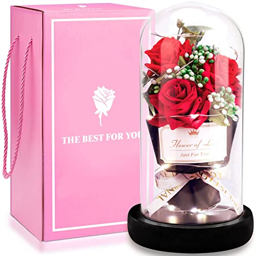 XINGGANG Ewige Rosen Die Schöne und das Tier Rose Kit In Glas kuppel LED Lichter Künstliche Blumen Rose Geschenke für Frauen Mama Geschenk zum Geburtstag Valentinstag Muttertag Weihnachten von XINGGANG