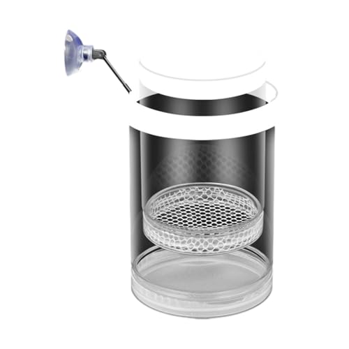 Kompakte Klare Schwimmende Fischzuchtbehälter Für Meeresleben Plastikfischfischtanks Isolation Brüderei Inkubator Easy Installation Laichbox Kompakte Klare Schwimmende Fischzuchtbehälter Für Meeresleben Plastikfischfischtanks Isolation Brüderei Inkubator Easy Installation Laichbox von XINGLIDA