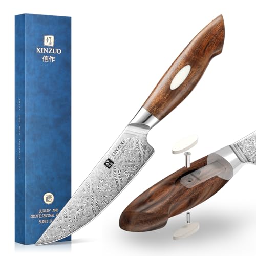 XINZUO 110 Schichten Damaststahl 13cm Steakmesser, Hochwertige Tafelmesser Steakbesteck, Küchenmesser Besteckmesser Handgeschmiedet Kochmesser -Nordamerika Desert Ironwood Griff und Geschenkbox von XINZUO
