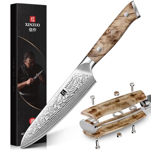 XINZUO 67 Schichten Damaststahl Küchen Universalmesser 13,3cm Allzweckmesser -Schärfe und Haltbarkeit Damaszener Stahl Obstmesser -Ergonomischer Griff aus Bergahornholz -mit Geschenkbox von XINZUO