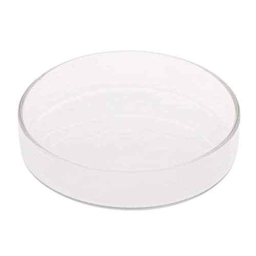 XINgjyxzk Garnelen Feeder Glas Futternapf Aquarium Fische Für Reptilien Runde Klare Futternapf 3 9" 3 5" 3 2" 3 0" 2 6" 2 4" Tra XINgjyxzk Garnelen Feeder Glas Futternapf Aquarium Fische Für Reptilien Runde Klare Futternapf 3 9" 3 5" 3 2" 3 0" 2 6" 2 4" Tra von XINgjyxzk