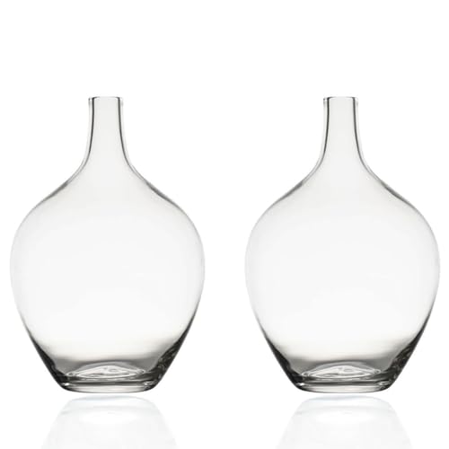 XIUWOUG 2 Schwarze Glasvasen,Schwarze Flaschen,Schwarze Vasen für Wohnzimmerdekoration,Raumdekoration von XIUWOUG