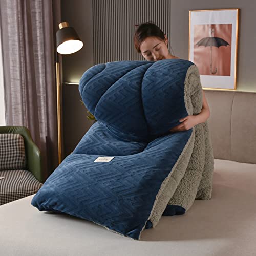 XIUWOUG Bettdecke,Winter Steppdecke Doppelseitige Winterdecke Aus Samt, Warme Bettdecke Schlafdecke Flauschige Steppdecken Für Duvet Verdicken Lamm Kaschmir,B,150X200 2.5KG von XIUWOUG